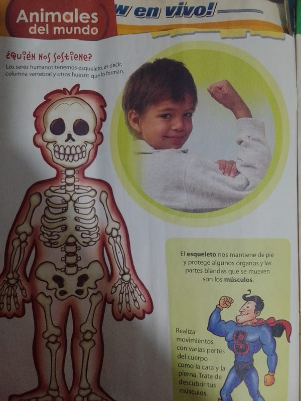 Pages from Venezuelan kids' educational books and worksheets