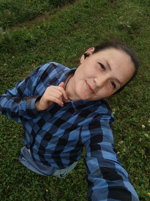 Lazy afternoon in a Russian meadow with wildflowers and grazing cattle
