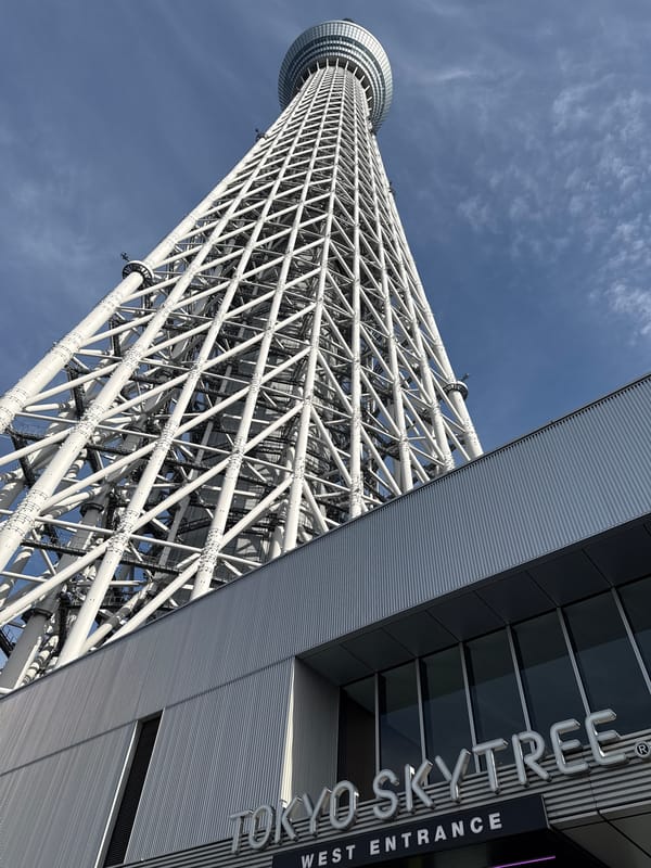 Morning photography session captures Tokyo Skytree, Sumida cityscape views