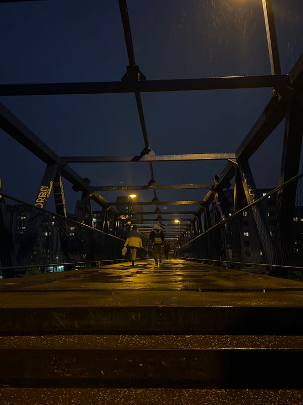 Evening view of graffiti-marked pedestrian bridge in Belgrade