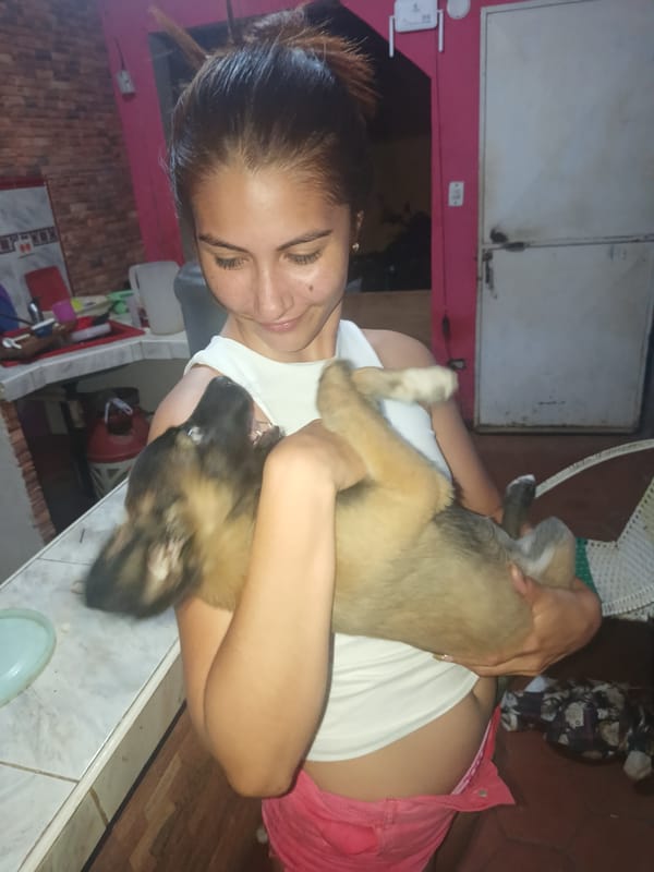Woman tends to puppy in early morning hours