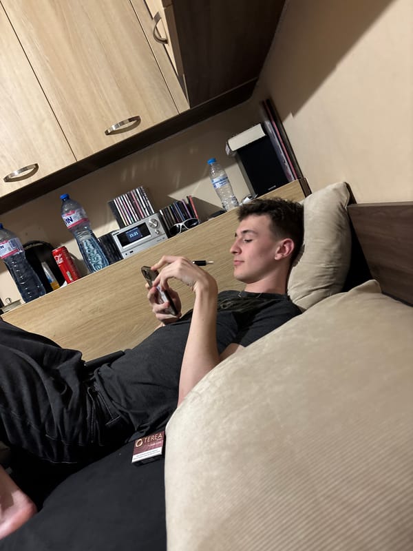 Young people photograph themselves, artwork in Pleven home