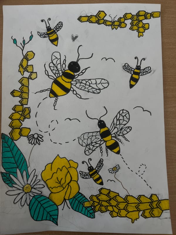 Student artwork and school activities documented in Karnobat, Bulgaria