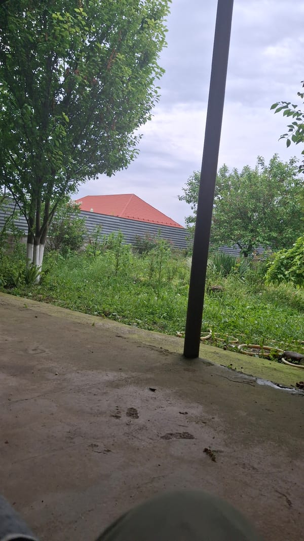 Young person photographed in outdoor area in Shali, Russia