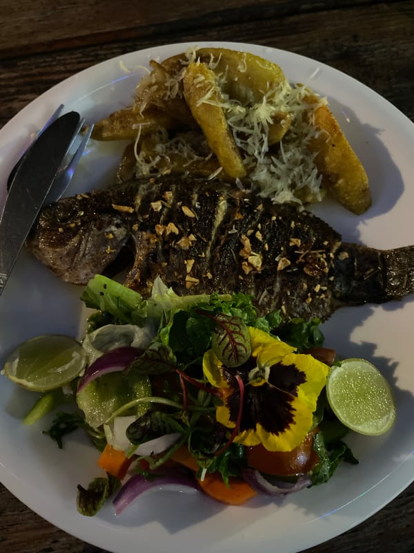 Lunch photographed at restaurant in Pokhara, Nepal