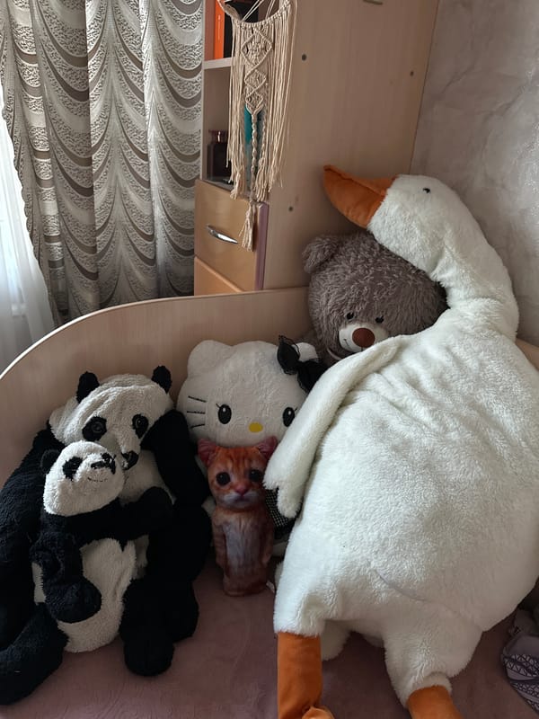 Plush toy collection photographed in bedroom setting, Barnaul