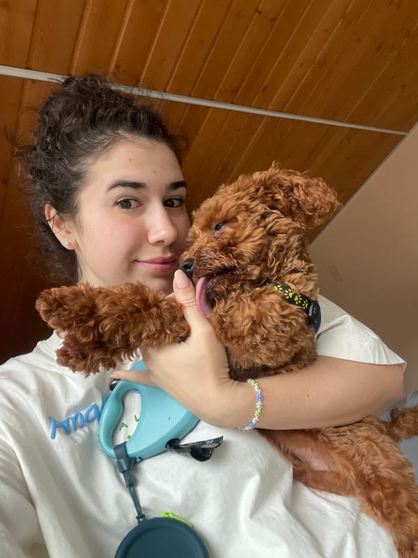 Woman spends morning with pet poodle in Sofia home