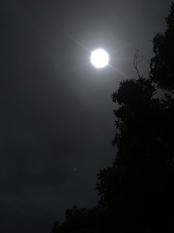 Sun photographed through hazy sky in northern Nigeria