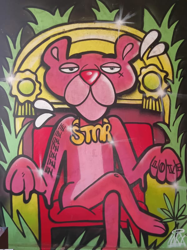 Street art documentation captured in Vagator beach town