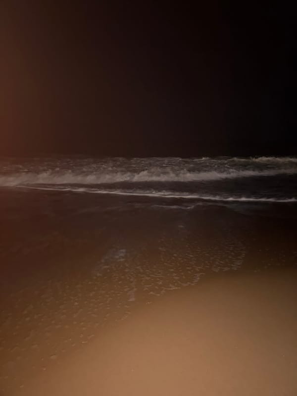 Evening beach scenes captured at Sinquerim, India