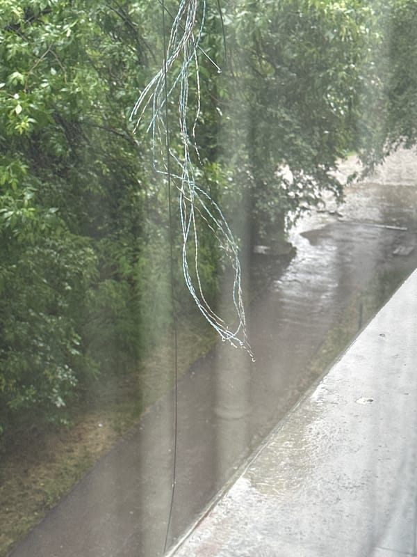 Heavy rainfall and lush green canopies documented in Sofia