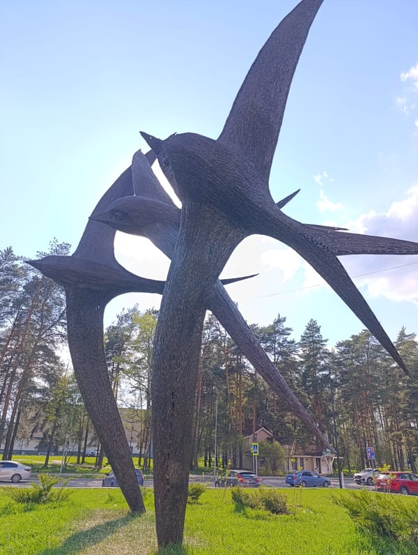 Casual park moments captured: bird sculptures, selfies, shadows documented
