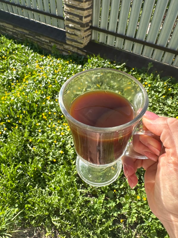 Morning domestic moments captured in Nizhny Novgorod backyard