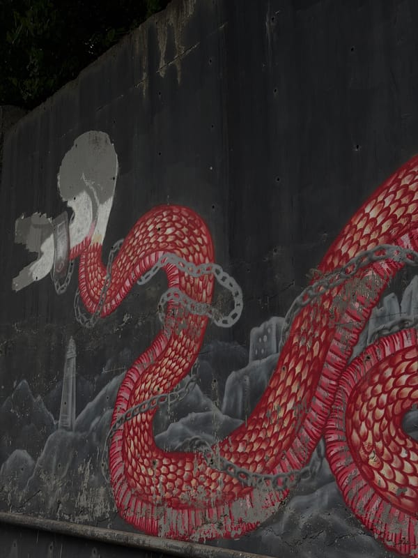 Car passenger documents Tbilisi street art during afternoon journey