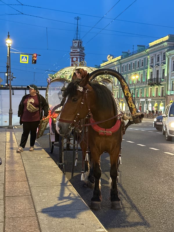 Horse carriages and canal boats fill Saint Petersburg at dusk