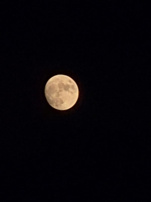 Full moon rising, shot from multiple angles on a June evening