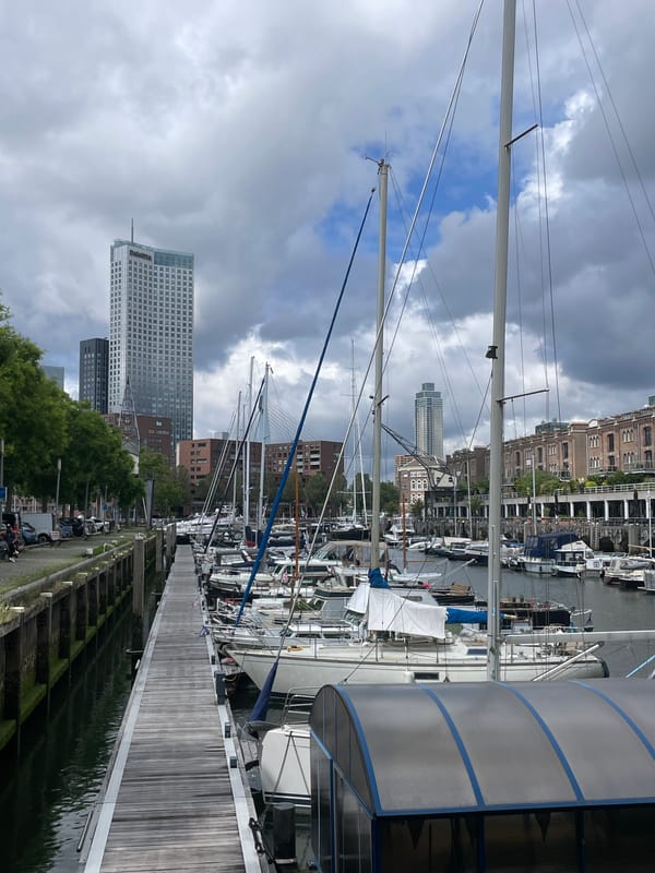 Overcast morning captures busy Rotterdam marina scene