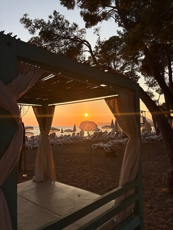 Adriatic sunset over Bar, framed from beach and olive trees