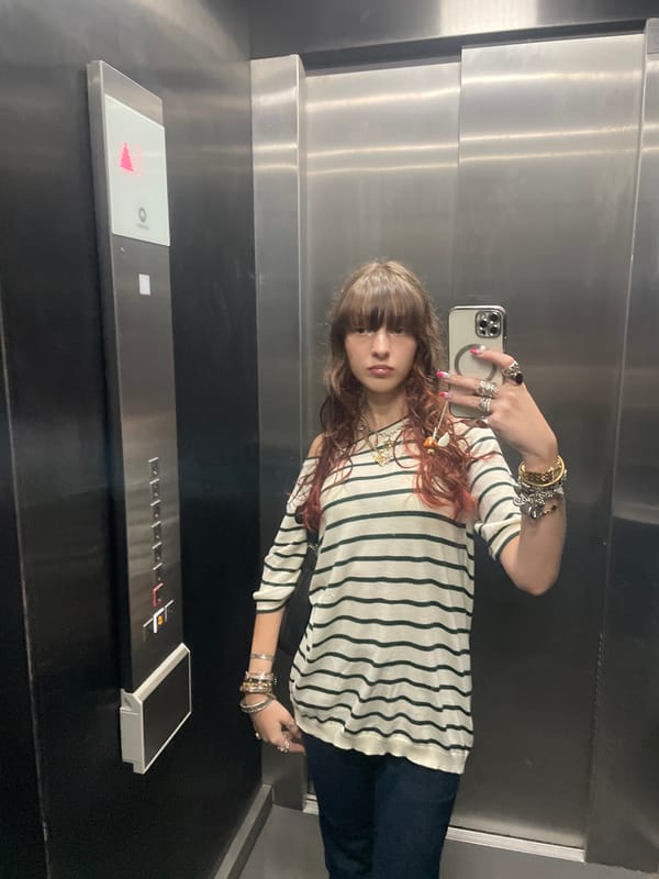 Person takes elevator selfies, shows off jewelry in Raanana