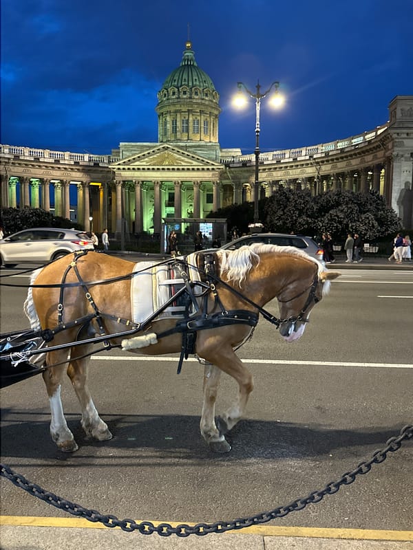 Saint Petersburg evening street scenes captured around Kazan Cathedral