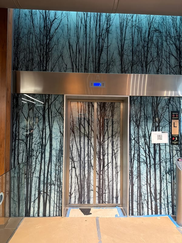 Elevator wall art documented in Herzliya building