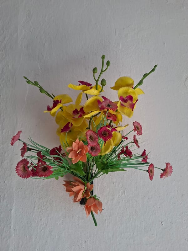 Indoor displays documented in Kokshetau include flowers, educational map