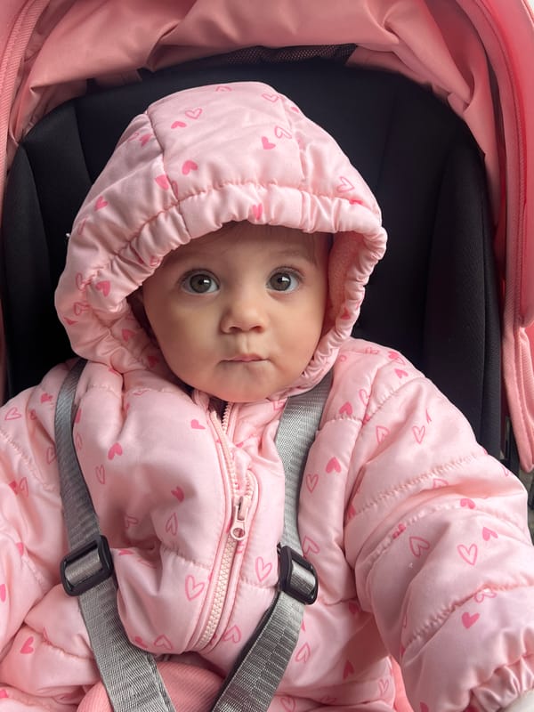 Baby in pink snowsuit spotted in stroller in Elena