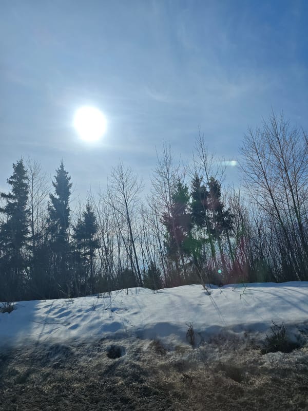 Winter scene captured in rural Garevaya, Russia