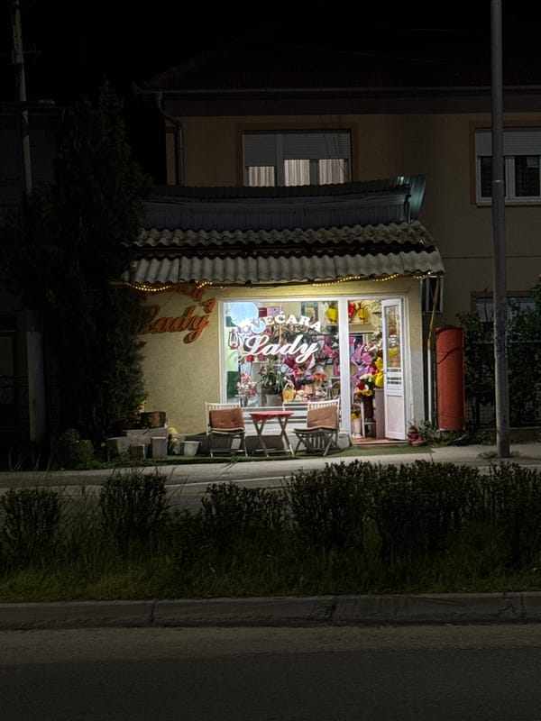 Evening documentation of flower shop and personal items in Kragujevac