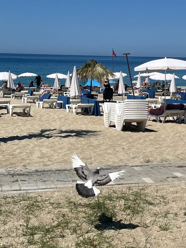 Morning beach life documented in Alanya, Turkey