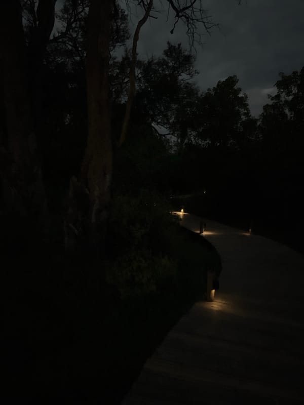 Nighttime walkway activity documented in Nwanaeanoka, Botswana