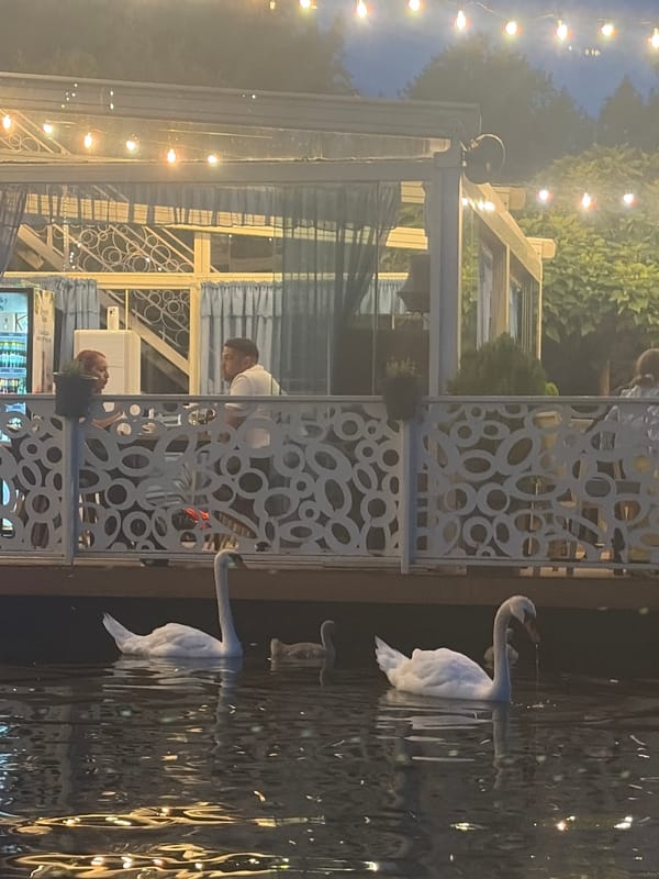 String-lit waterside dining spot glowing at dusk