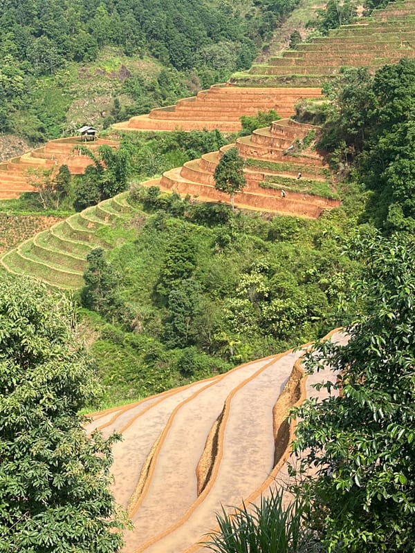 Tourist photographs capture Lao Chai Vietnam rice terraces morning