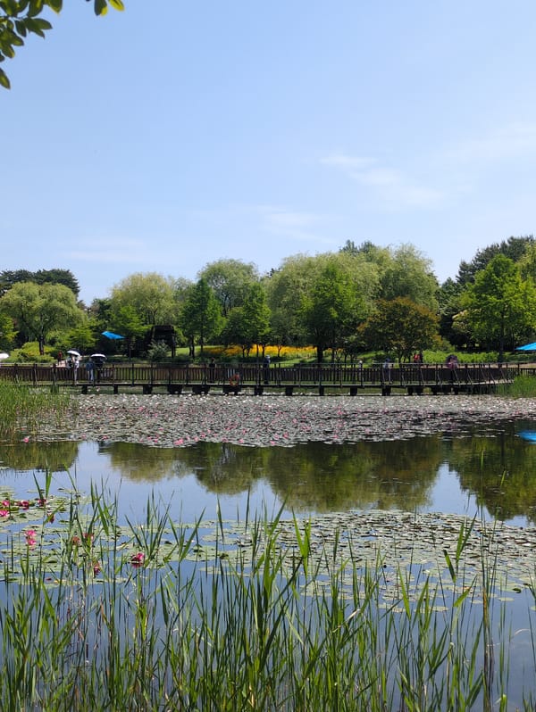 Visitors enjoy sunny spring day at Daejeon botanical gardens