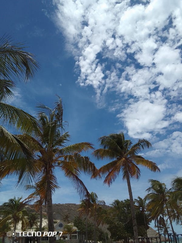 Sunny afternoon scenes captured across Pedro González, Venezuela