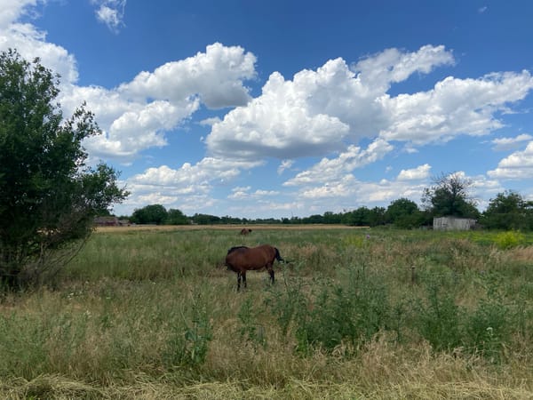 Dry fields and open skies across rural southern Russia