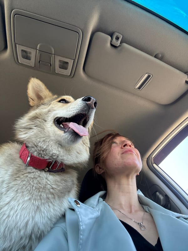 Woman poses playfully with husky in car, Russia