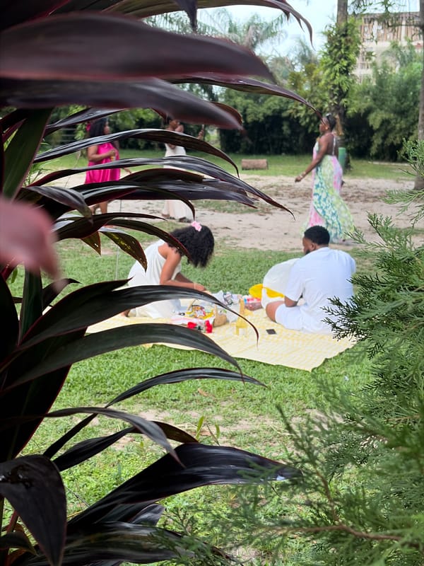 Picnickers enjoy afternoon at Lufasi Nature Park in Lekki