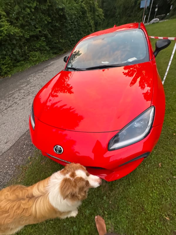 Red Toyota GR86 parked roadside with a dog nearby
