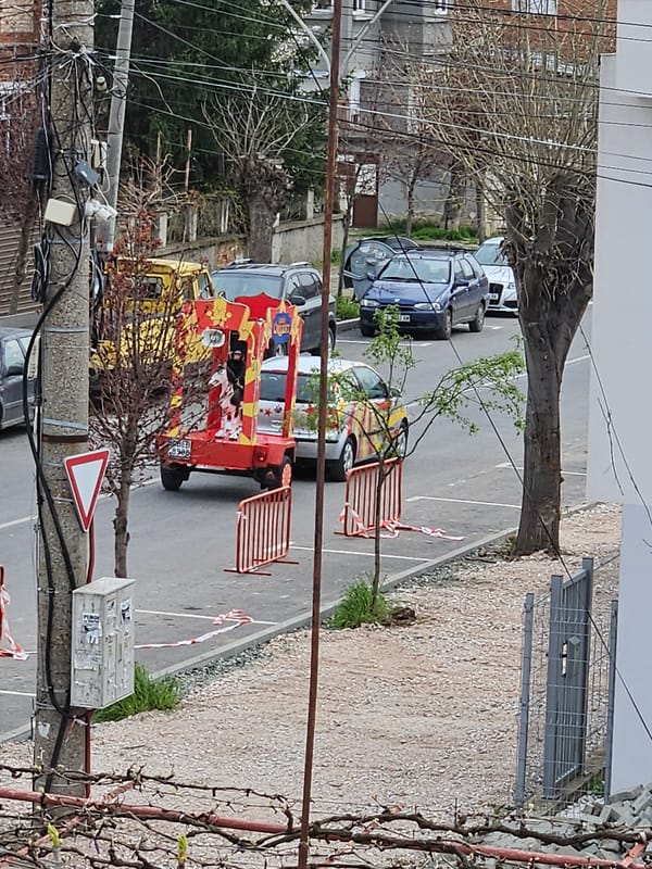 Calico cat's afternoon documented across Yambol, Bulgaria