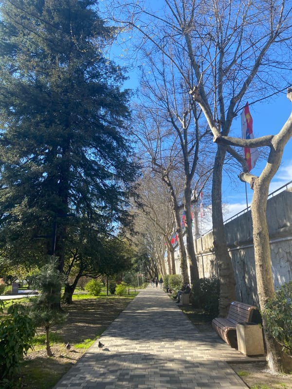 Daytime scenes captured across Sochi's pedestrian areas and parks