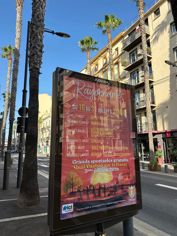 Palm-lined Perpignan boulevard on a bright summer afternoon