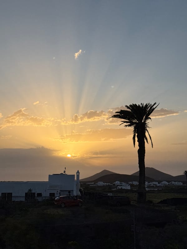 Sunset captured with silhouetted palm tree in Yaiza, Spain