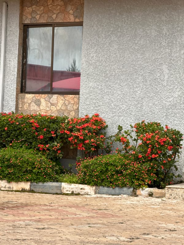 Kaduna afternoon: compound life and food prep in Nigeria
