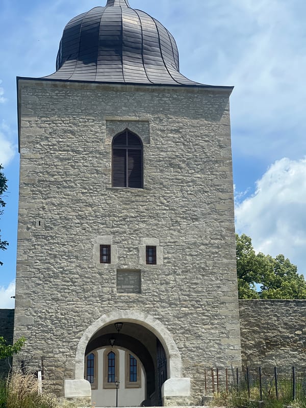 Morning walk around Bârnova's church, fences, and overgrown greenery