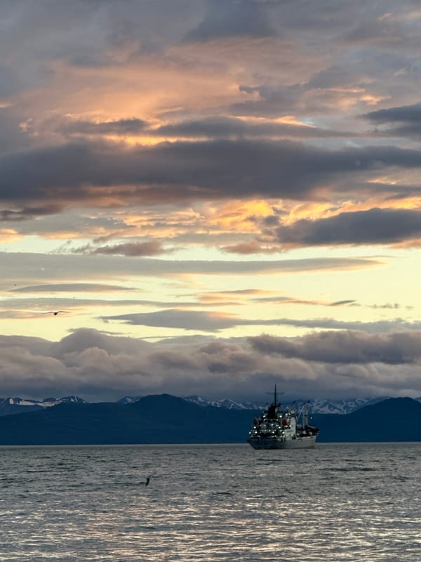 Gulls and stormy skies along the Kamchatka waterfront