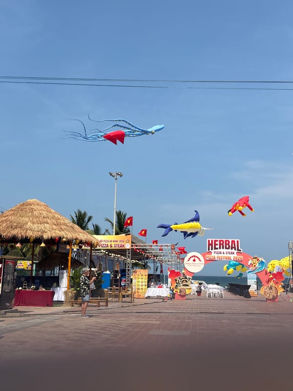 Kite festival draws crowds under clear skies in Đà Nẵng