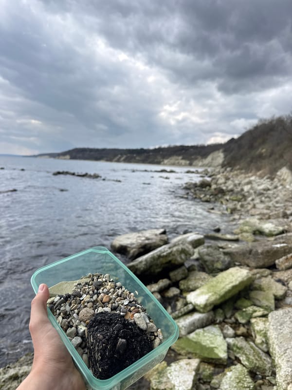 Person holds container of rocks and organic material
