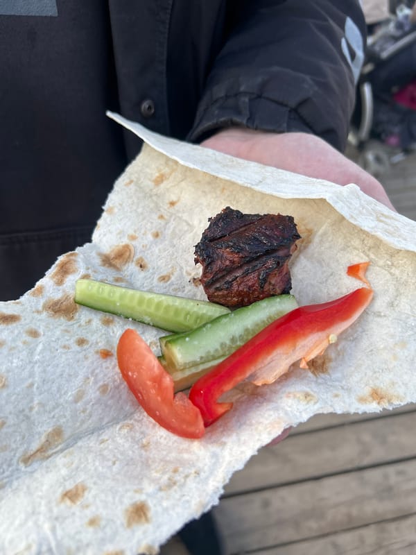 Outdoor barbecue gathering documented in Chaikovsky, Russia