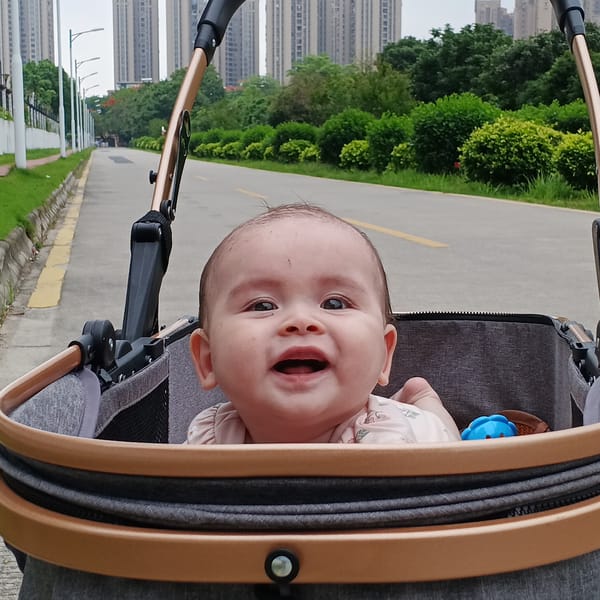 Late-night baby stroll documented in Shunde District park areas